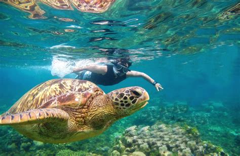 Negros Oriental: the Philippines’ Must.